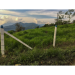 Postes Plásticos - Image 20