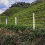 Postes Plásticos - Image 19