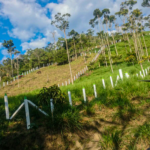 Postes Plásticos - Image 14