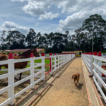 Postes Plásticos - Image 7