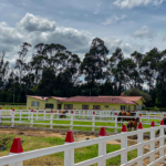 Postes Plásticos - Image 6