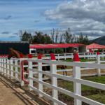 Postes Plásticos - Image 5