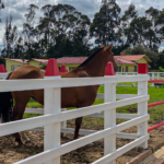 Postes Plásticos - Image 4