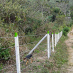 Postes Plásticos - Image 25