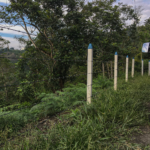 Postes Plásticos - Image 24