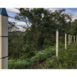 Postes Plásticos - Image 22