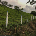 Postes Plásticos - Image 21